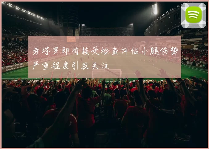 劳塔罗即将接受检查评估小腿伤势严重程度引发关注