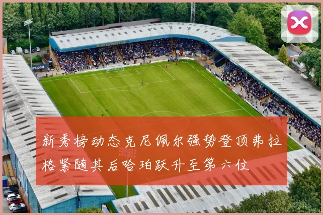新秀榜动态克尼佩尔强势登顶弗拉格紧随其后哈珀跃升至第六位